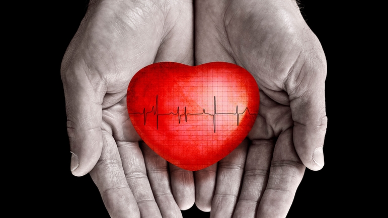 Heartbeat jest dla przepływomierza tym czym EKG dla serca człowieka