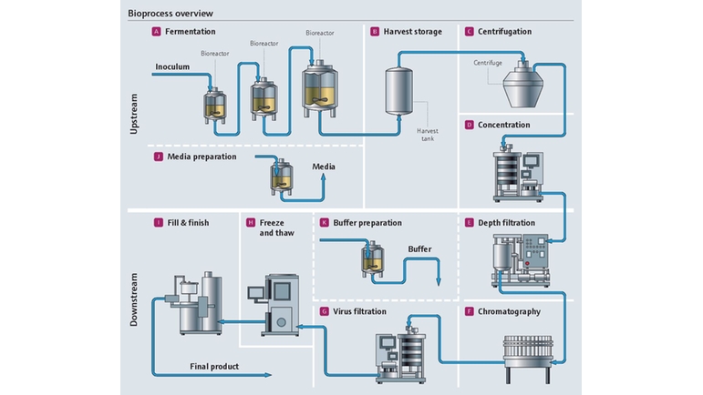 Schemat procesu produkcji biofarmaceutyków