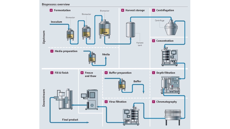 Schemat bioprocesu