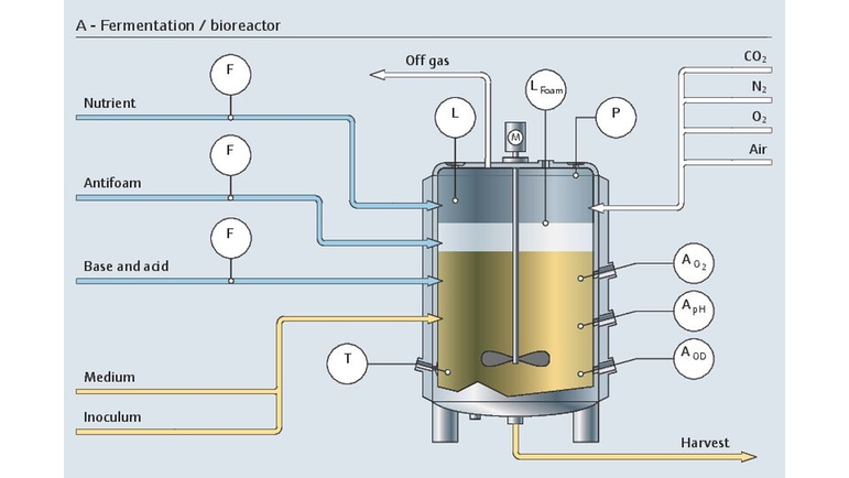 Proces fermentacji w bioreaktorze z uwzględnieniem wszystkich istotnych punktów pomiarowych