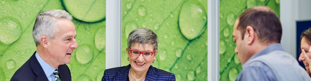 Strategia podatkowa Endress+Hauser Polska