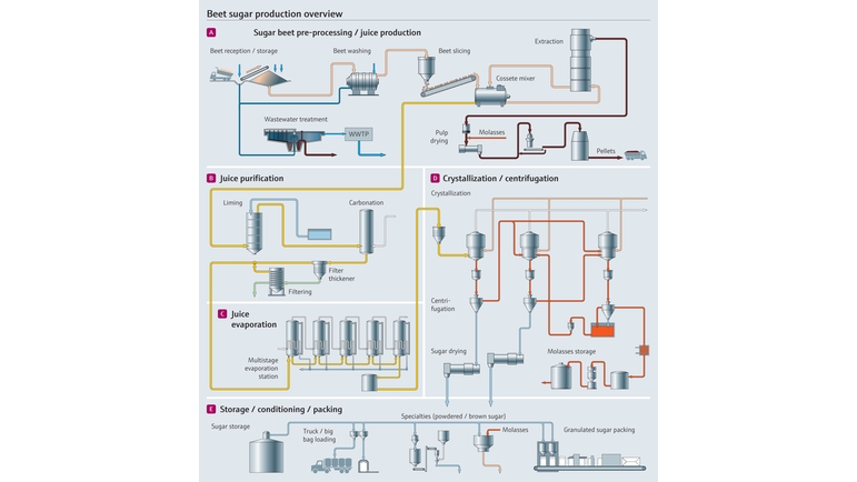 Schemat procesu produkcji cukru z buraków cukrowych