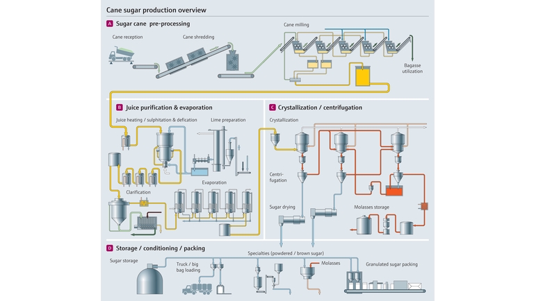 Schemat procesu produkcji cukru z trzciny cukrowej