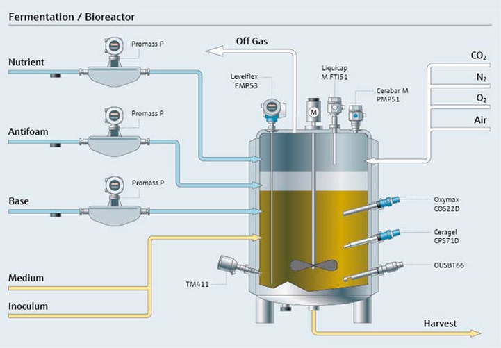 proces fermentacji