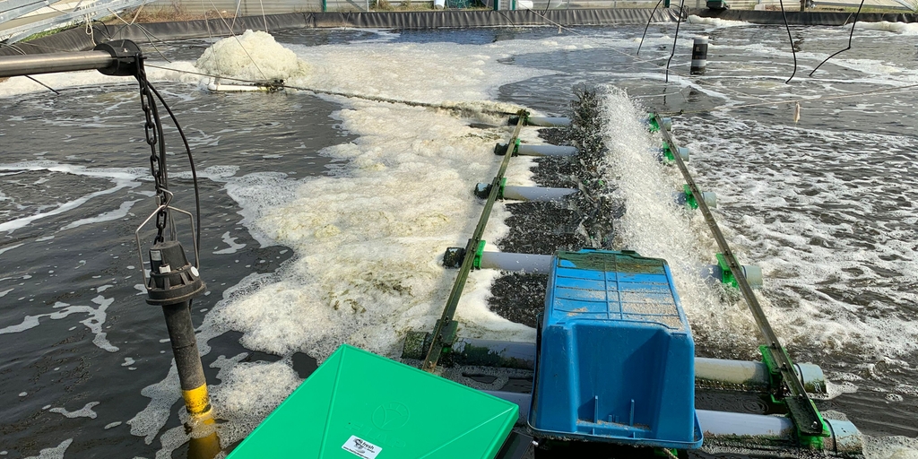 Wiarygodne monitorowanie jakości wody w celu zapewnienia idealnej wydajności produkcyjnej przy hodowli krewetek w akwakulturach