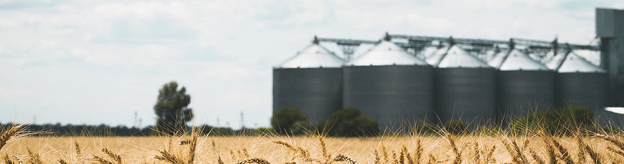 An agribusiness plant for food storage in storage tanks, bulk silos