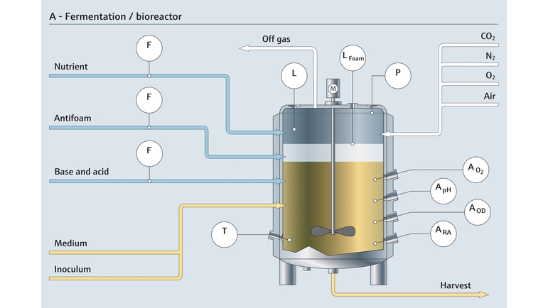 Fermentacja w bioreaktorze i punkty pomiarowe
